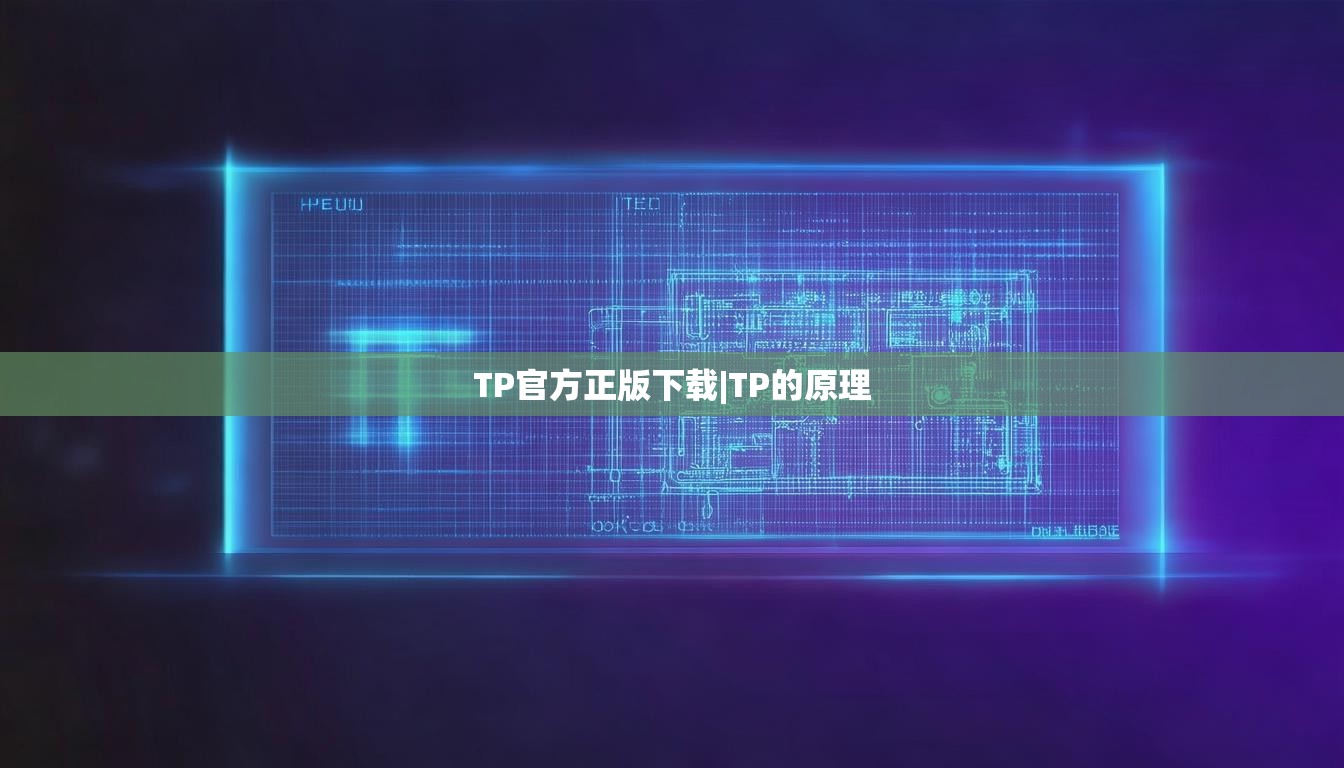 TP官方正版下载|TP的原理